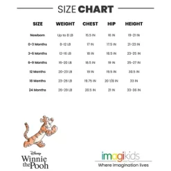 Disney Classics Winnie The Pooh Lion King Bambi Baby Bodysuit Pants And Hat 3 Piece Outfit Set Newborn To Infant -Family Trends Shop GUEST 29796214 8374 4a26 9b45 1b4f7adf3069