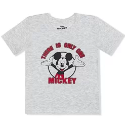 Disney Boy's There Is Only One Mickey Mouse Graphic Tee, 3D Hooded Shirt And Casual Short Set For Toddler -Family Trends Shop GUEST a9c17e49 4e79 4eab 94dc 05602d28bbae