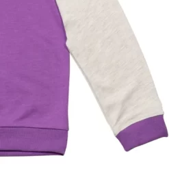 Disney Zombies () French Terry Sequin Hoodie Purple -Family Trends Shop GUEST c494825e 65ad 48ca 8b90 566007ad4e4d