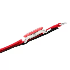 Boys' Disney Cars Watch - Red -Family Trends Shop GUEST d60e0417 0cb6 40d5 825d 07e939942bbf