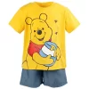 Disney Winnie The Pooh Baby Graphic T-Shirt And Shorts Outfit Set Infant